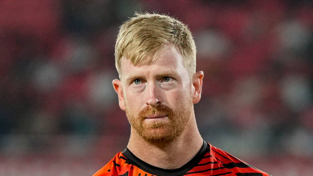 picture of cricket