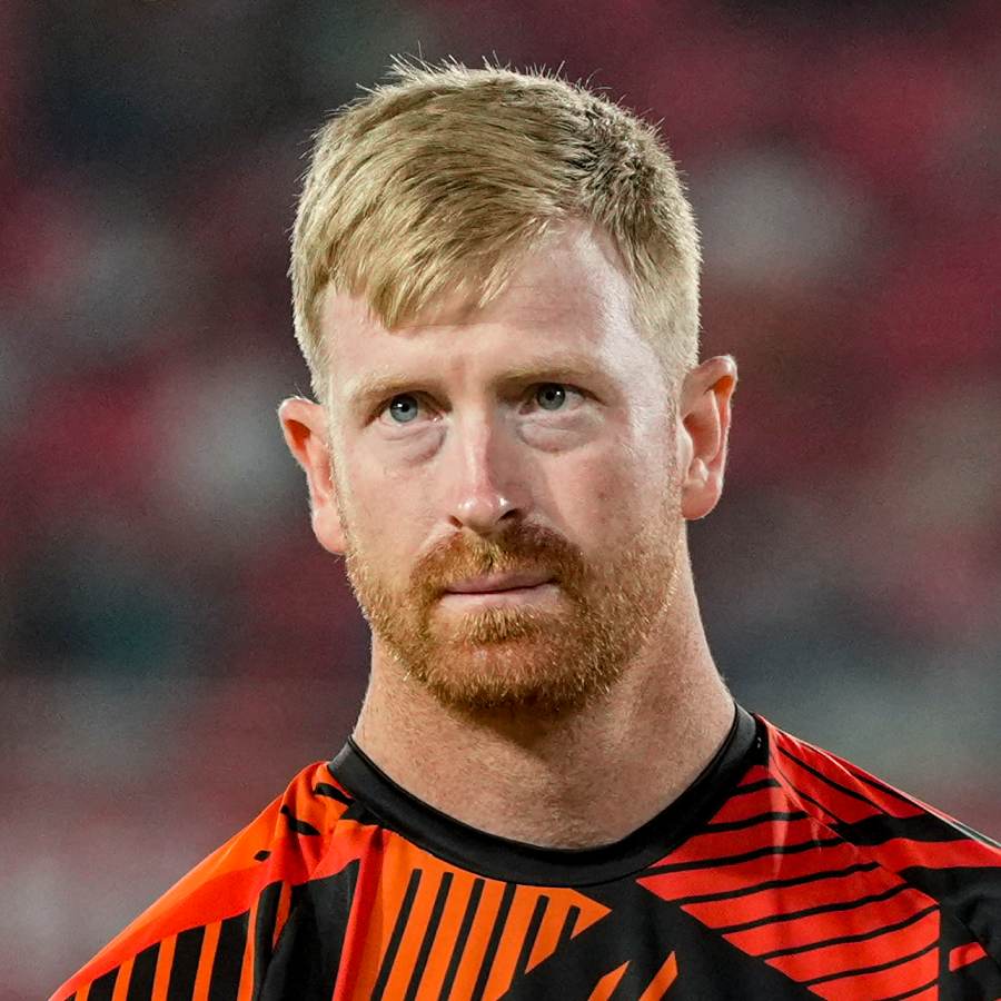 picture of cricket