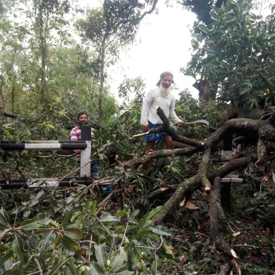 দুর্ঘটনার পরে গাছের ডাল কেটে সরাচ্ছেন স্থানীয়েরা।