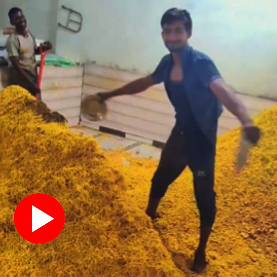 bhujia