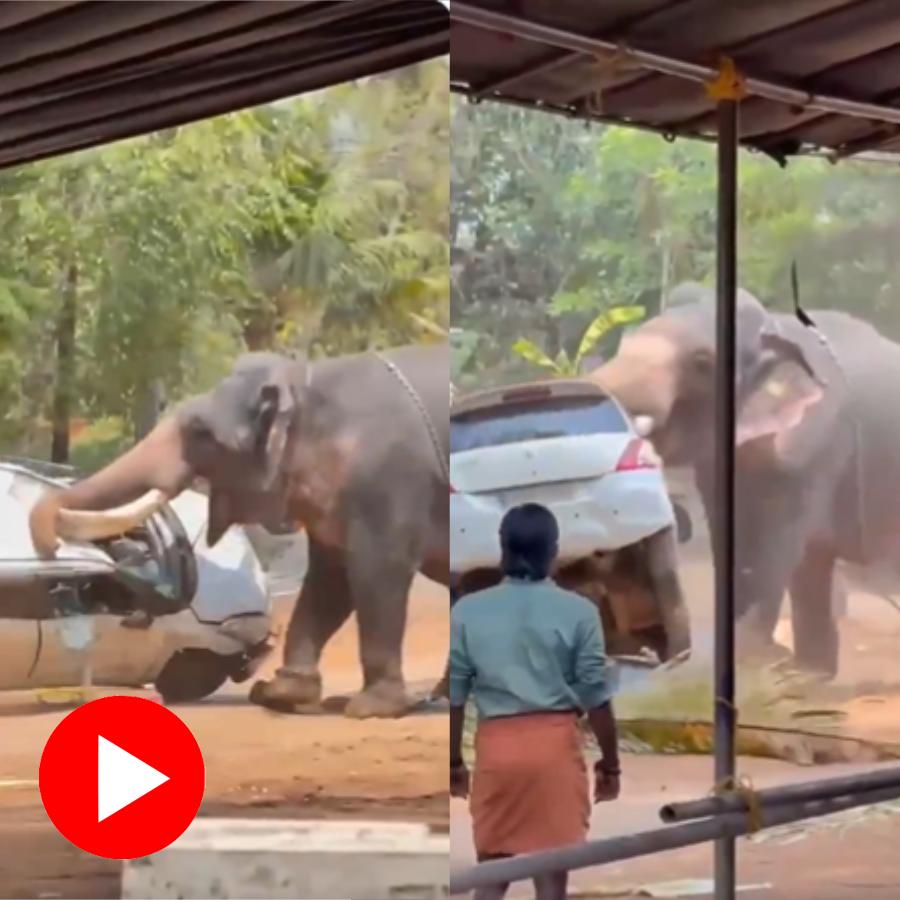 Two elephant attack in Kerala Temple festival claims two lives, video goes viral