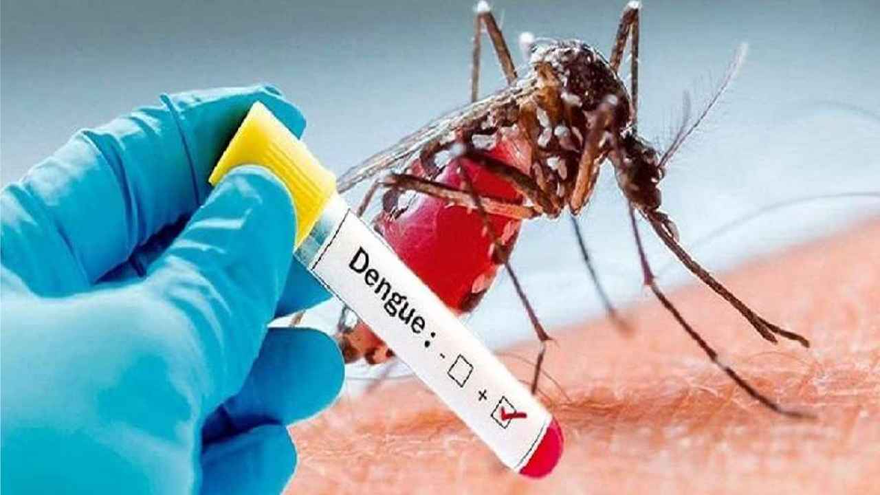 Rising Dengue Fears Amidst Kalbaishakhi Rains: PWD Issues Strict Directives for Early Precaution