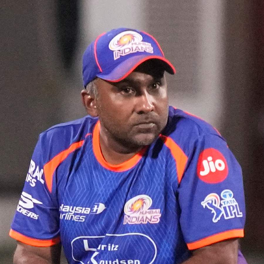 picture of cricket