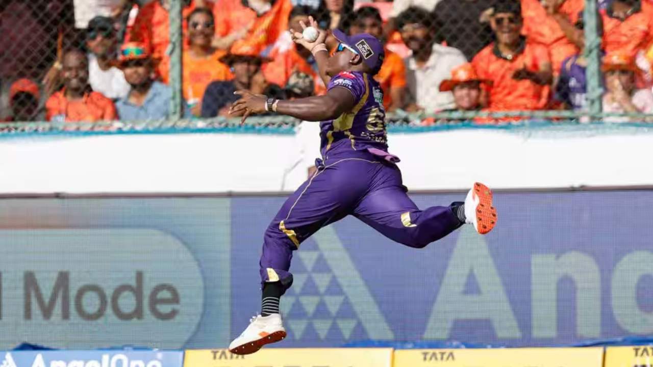 picture of cricket