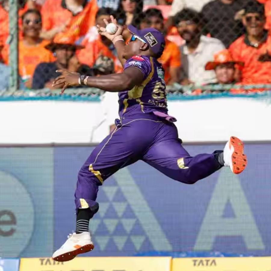 picture of cricket