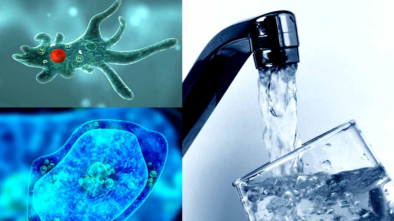 The Rise of Brain-Eating Amoeba, is your Tap Water Safe