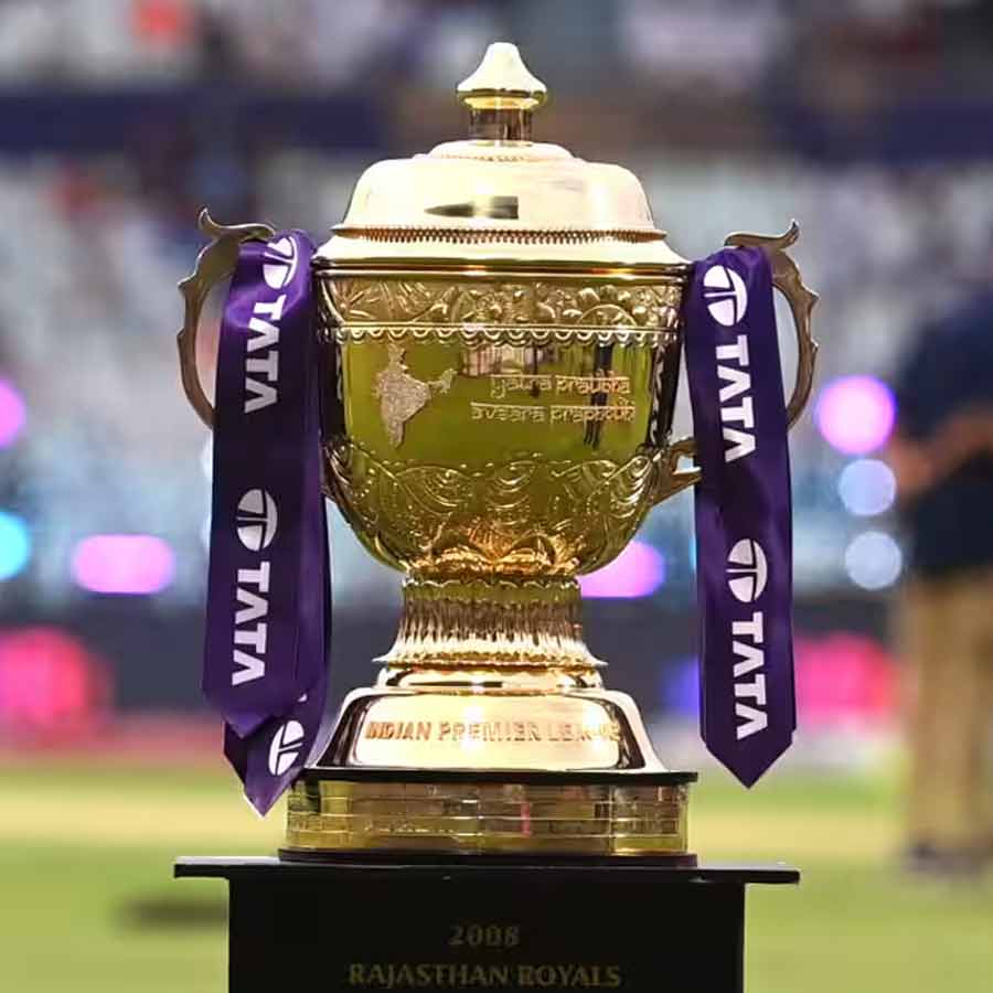 cricket