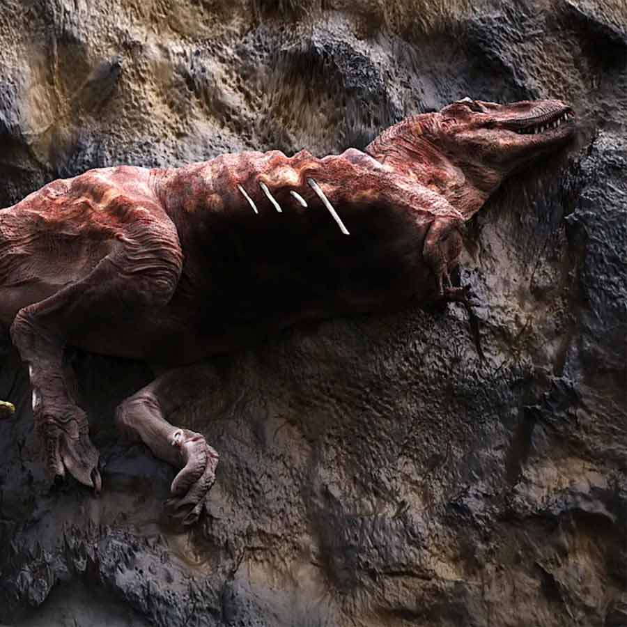 Tyrannosaur Fossil bite marks reveal cannibal feeding nature of the species, claims new research dgtl