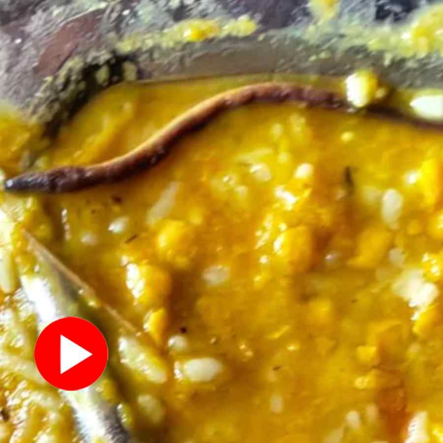 Video of snake found in mid-day meal in Bihar, students were hospitalised dgtl