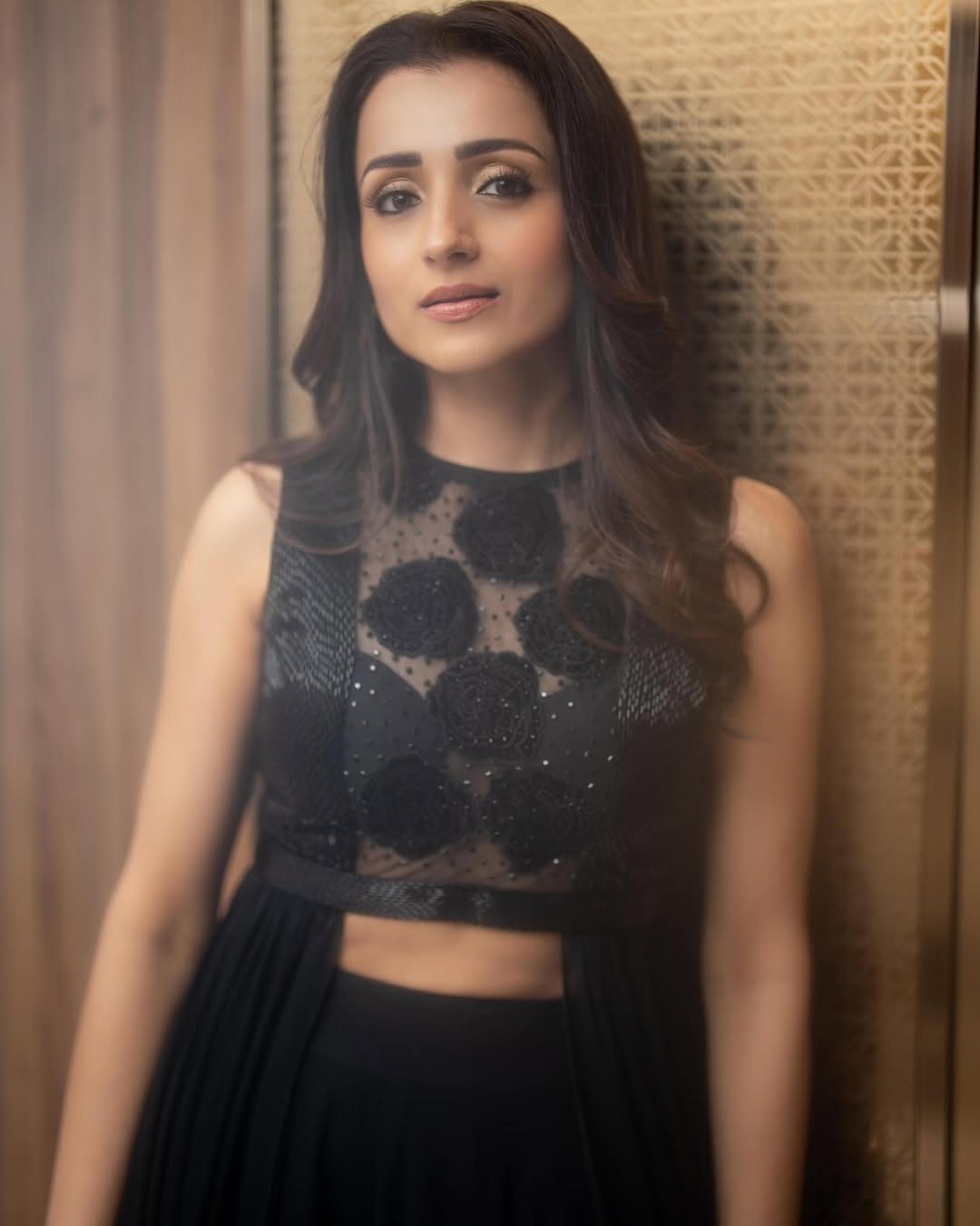 All About Thalapathy Vijay's Rumoured Partner Trisha Krishnan’s Earnings and Luxury Lifestyle
