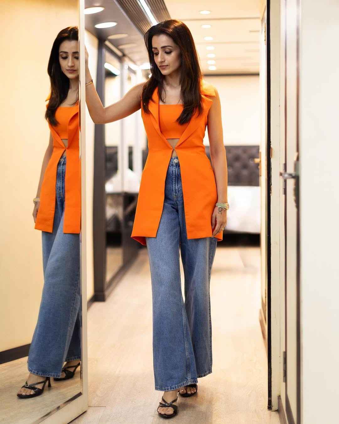 All About Thalapathy Vijay's Rumoured Partner Trisha Krishnan’s Earnings and Luxury Lifestyle