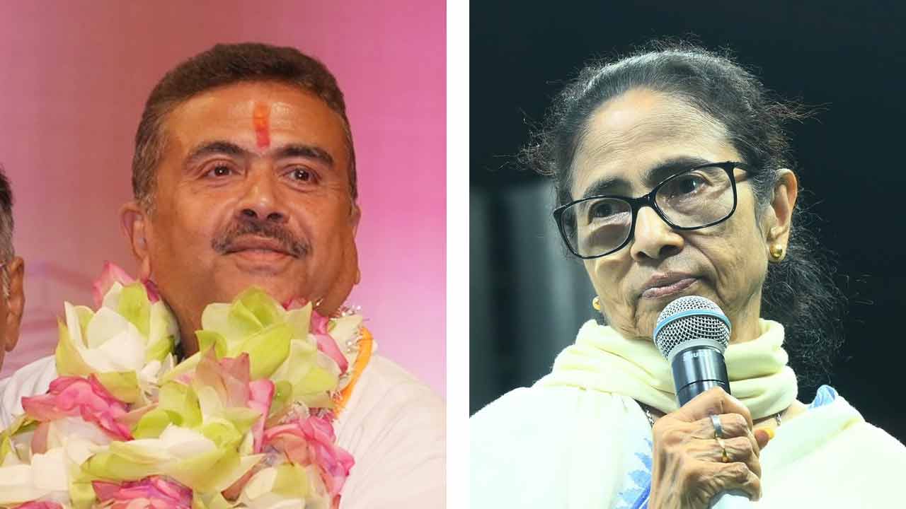 picture of Mamata Banerjee