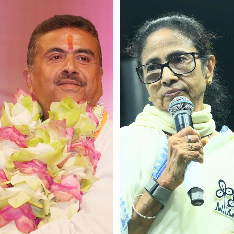 picture of Mamata Banerjee