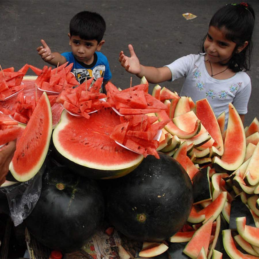 According to reports, about 40 percent of crops produced in India are wasted before reaching consumers