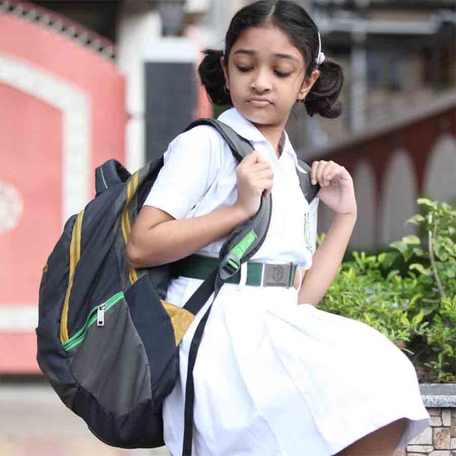 Are students proportionately developing with the burden of Studies