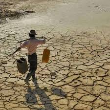 An El Nino event is likely to develop by mid-year, which will have a profound impact on temperatures and rainfall patterns around the world