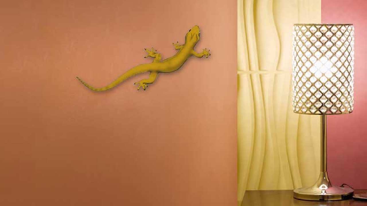 Presence of lizards in your house brings good or bad luck dgtl