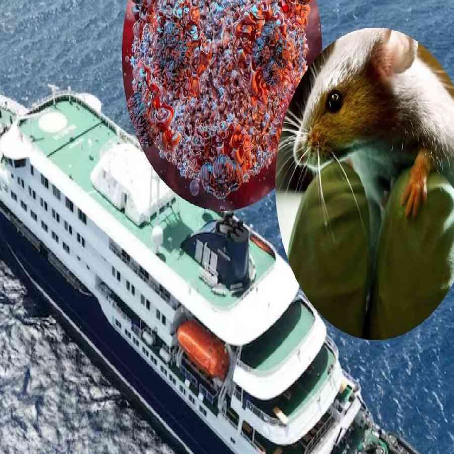 A 2022 social media post predicting 2026, Hantavirus has resurfaced online goes viral dgtl