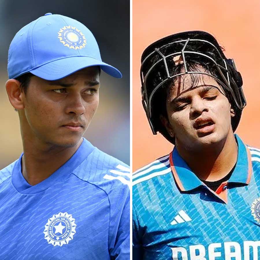 picture of cricket
