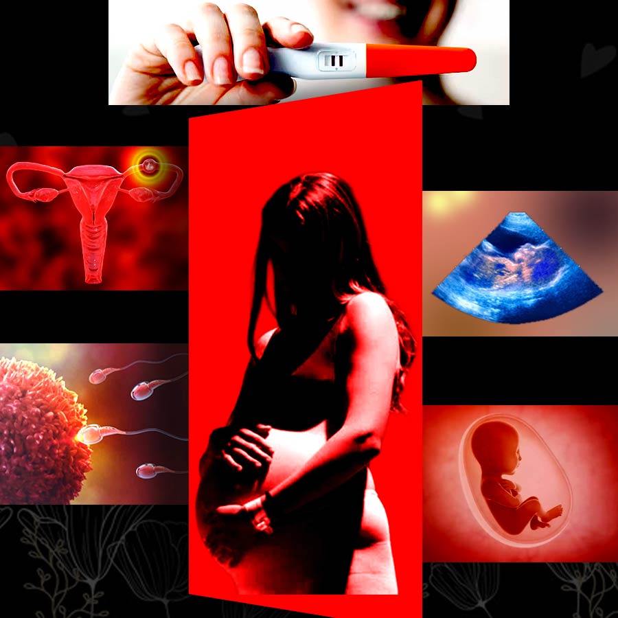 Late-Phase Pregnancy, a comprehensive guide for Women over 45