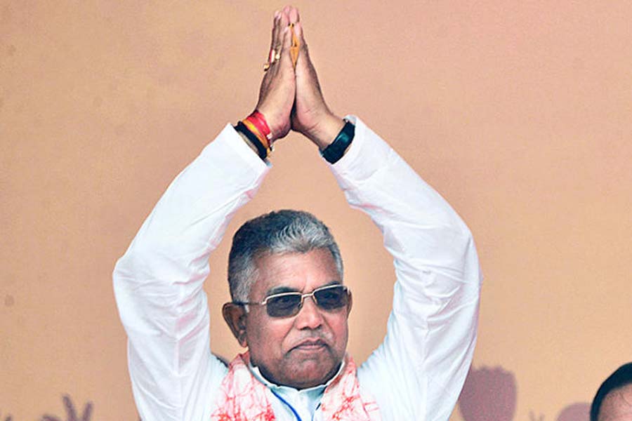 ১৯৬৪ সালের অগস্টে ঝাড়গ্রামের গোপীবল্লভপুরে জন্ম হয় দিলীপের। ঝাড়গ্রাম পলিটেকনিক কলেজ থেকে স্নাতক হন তিনি। ১৯৮৪ সালে রাষ্ট্রীয় স্বয়ংসেবক সঙ্ঘের (আরএসএস) সদস্য হলে সেখানকার রাজনৈতিক মতাদর্শে হাতেখড়ি হয় তাঁর। দীর্ঘ দিন সঙ্ঘের প্রচারক হিসাবে কাজ করেছেন দিলীপ। ছিলেন আন্দামানেও। প্রাকৃতিক দুর্যোগের সময় বঙ্গোপসাগরের দ্বীপগুলিতে জনসেবার কাজের মধ্যে দিয়ে সাংগঠনিক দক্ষতা বৃদ্ধি পায় তাঁর। 