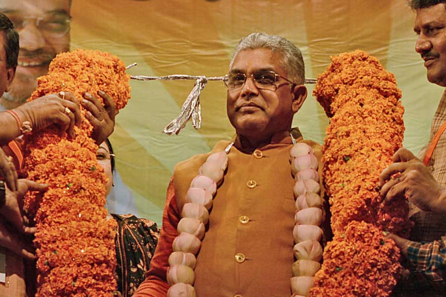২০১৫ সালের সেপ্টেম্বরে রাজ্য সভাপতি হিসাবে দিলীপকে বেছে নেয় পদ্মশিবির। দায়িত্ব পেয়েই সংগঠনকে মজবুত করার কাজে কোমর বেঁধে লেগে পড়েন তিনি। ফলও মেলে হাতেনাতে। ২০১৯ সালের লোকসভা ভোটে বাংলা থেকে মোট ১৮টি আসন জেতে বিজেপি, ২০১৪ সালের নির্বাচনে যা ছিল মাত্র দুই। শুধু তা-ই নয়, সে বার ৪০.২৫ শতাংশ ভোট পায় গেরুয়া শিবির। এর পুরোটাই দিলীপের কৃতিত্ব বলে উল্লেখ করেছিল রাজনৈতিক মহল। 