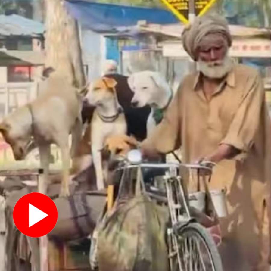 Video of elderly rickshaw driver giving rides to five stray dogs goes viral dgtl