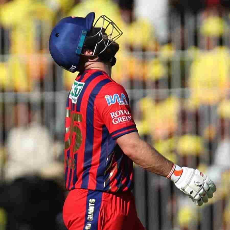 cricket