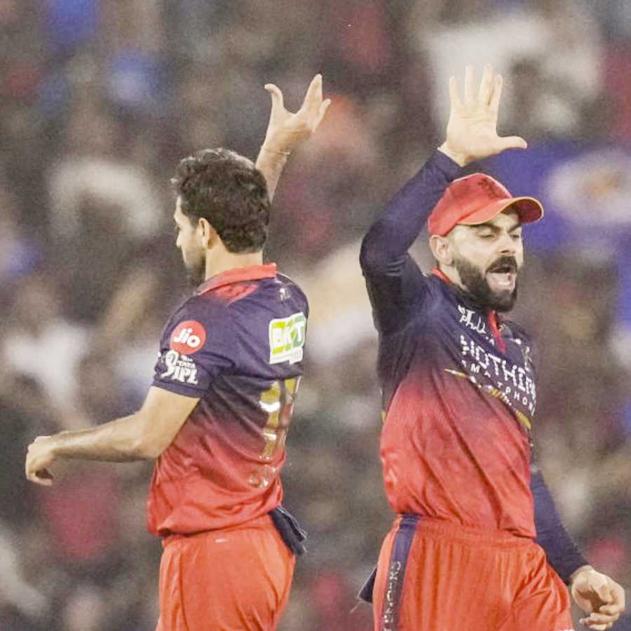 cricket
