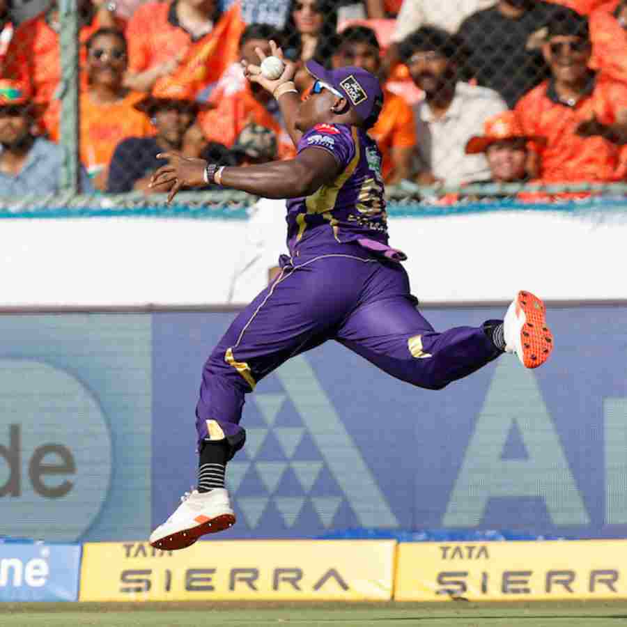 cricket