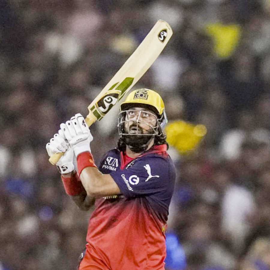 cricket