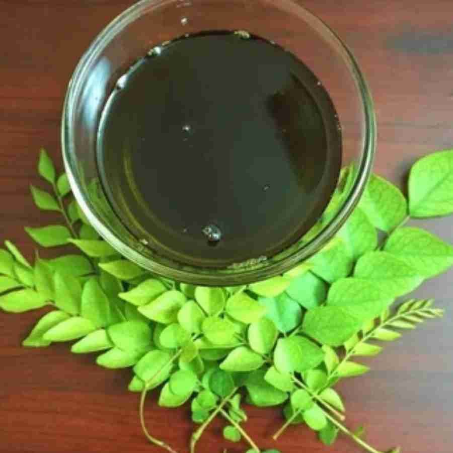 কারিপাতার ব্যবহার