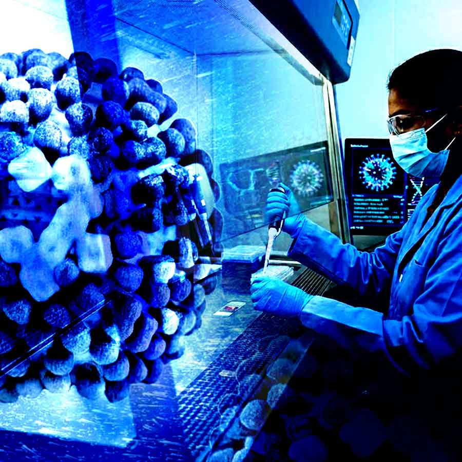 Why Scientists are sounding the Alarm on Influenza D Virus