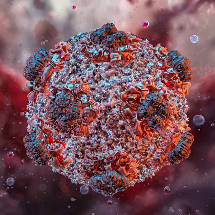 All about Hantavirus, its origin and name history