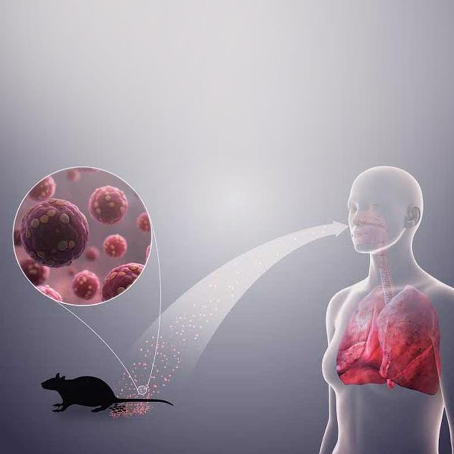 All about Hantavirus, its origin and name history