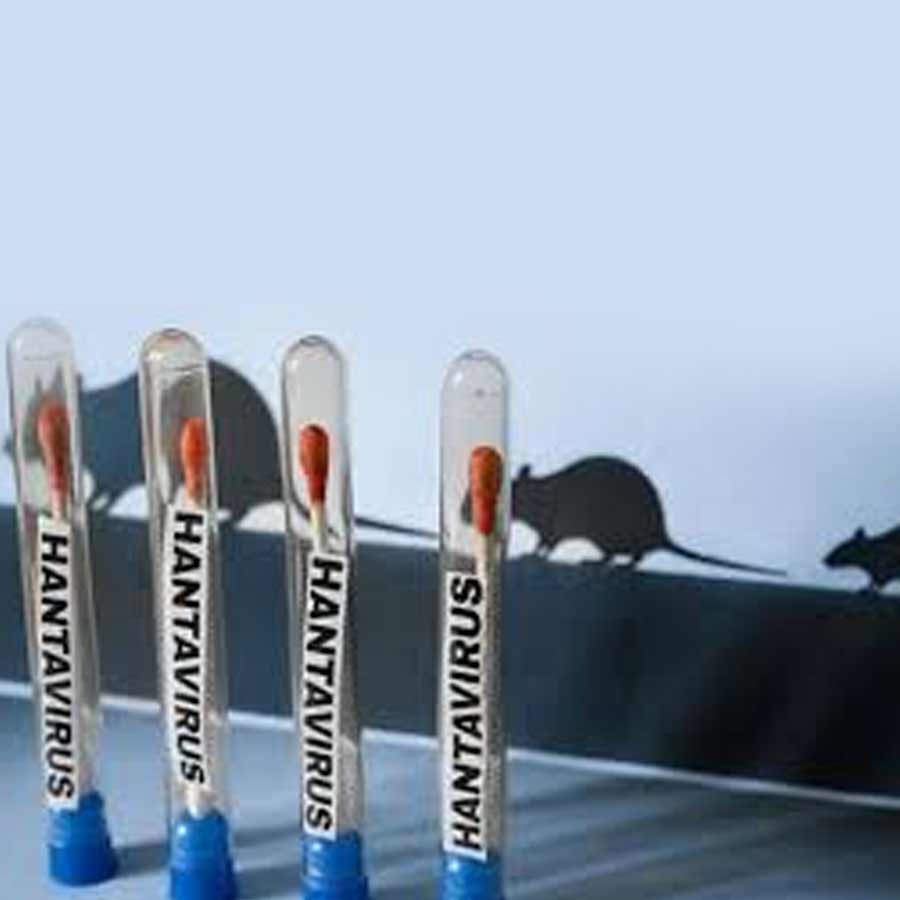 All about Hantavirus, its origin and name history