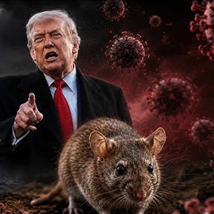 All about Hantavirus, its origin and name history