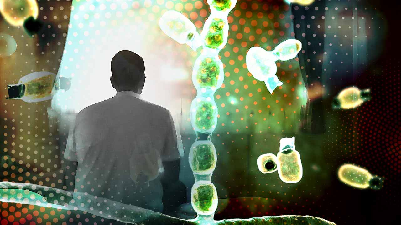 Valley Fever Alert, the Soil-Borne Fungus That Took the Life of an Indian Techie