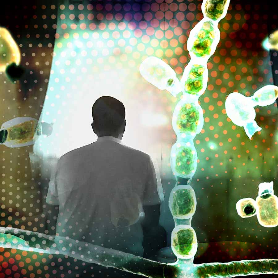 Valley Fever Alert, the Soil-Borne Fungus That Took the Life of an Indian Techie