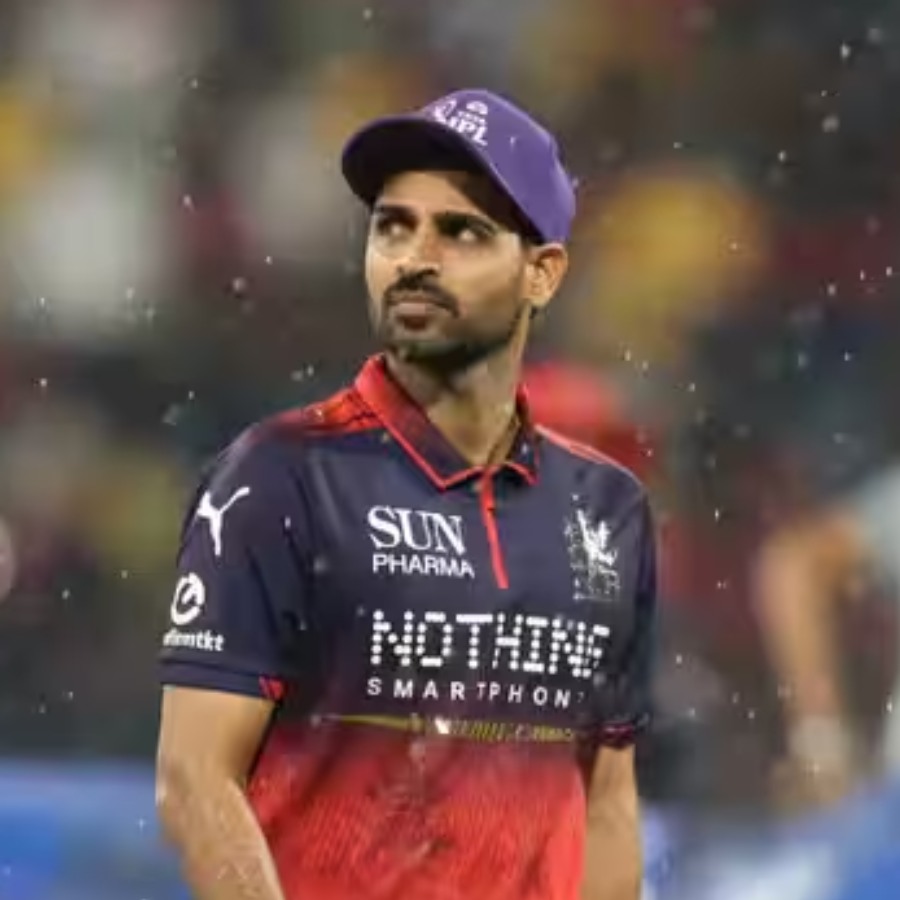 picture of cricket