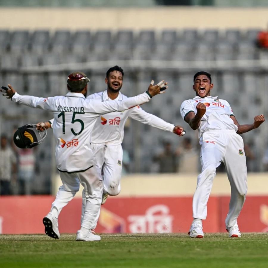 picture of cricket