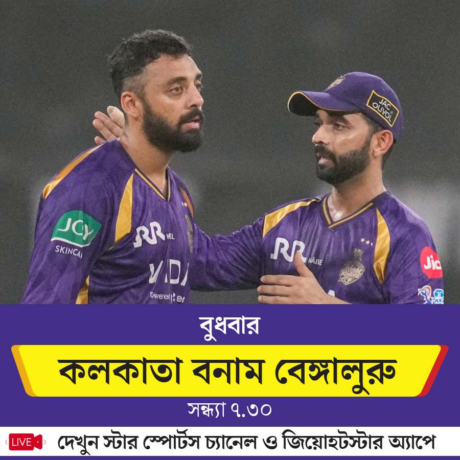 picture of cricket