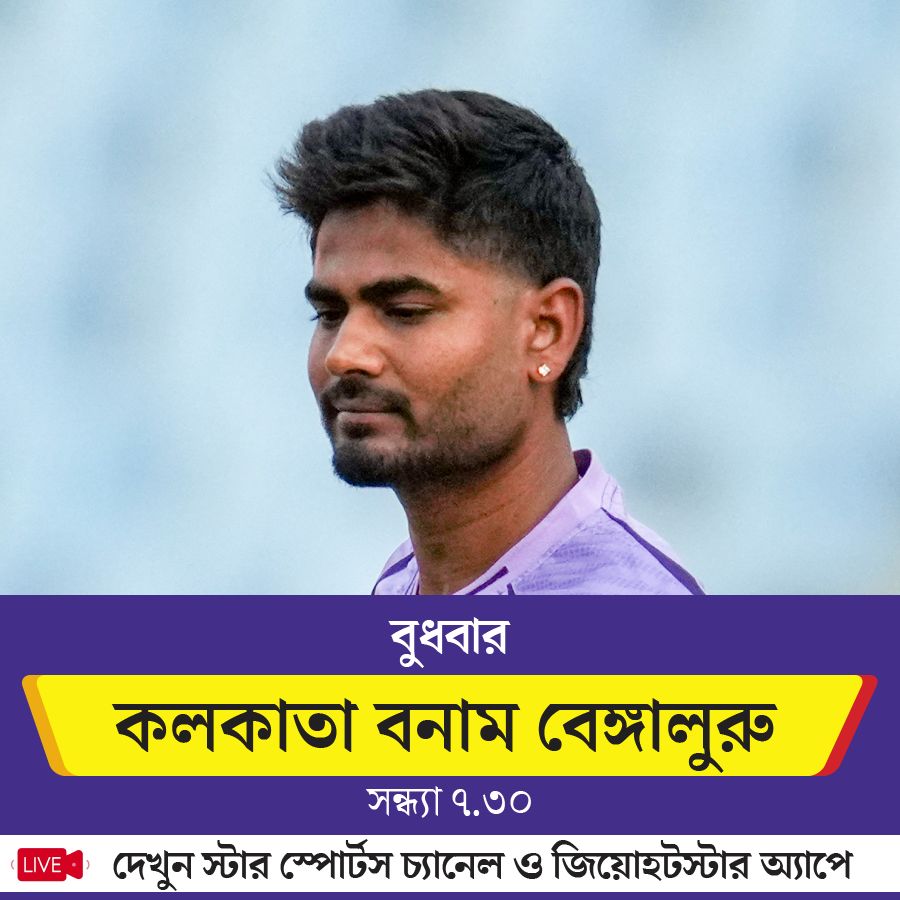 picture of cricket