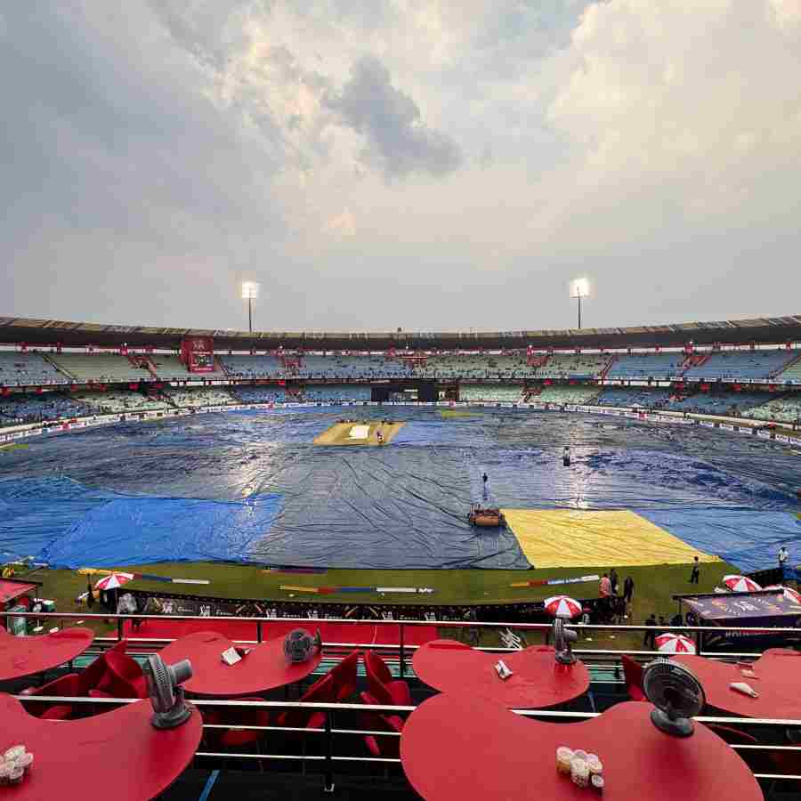 cricket