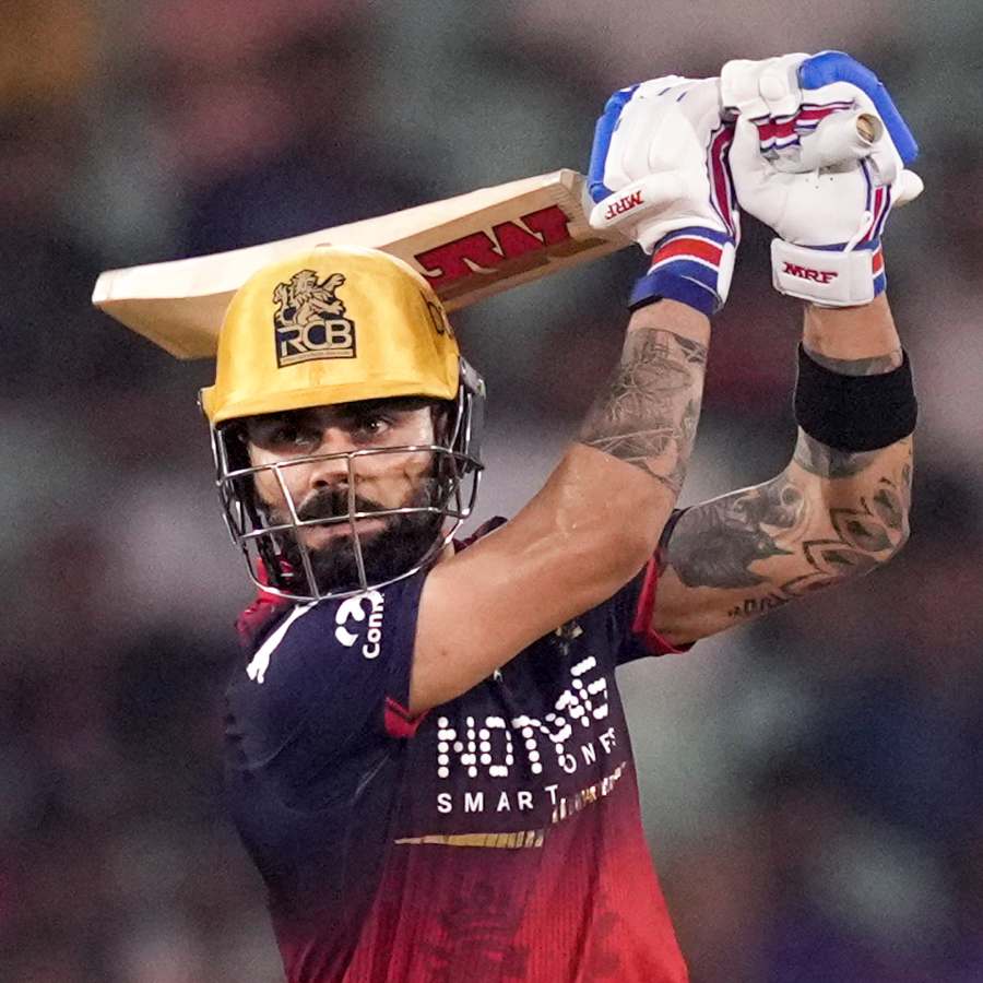 picture of cricket