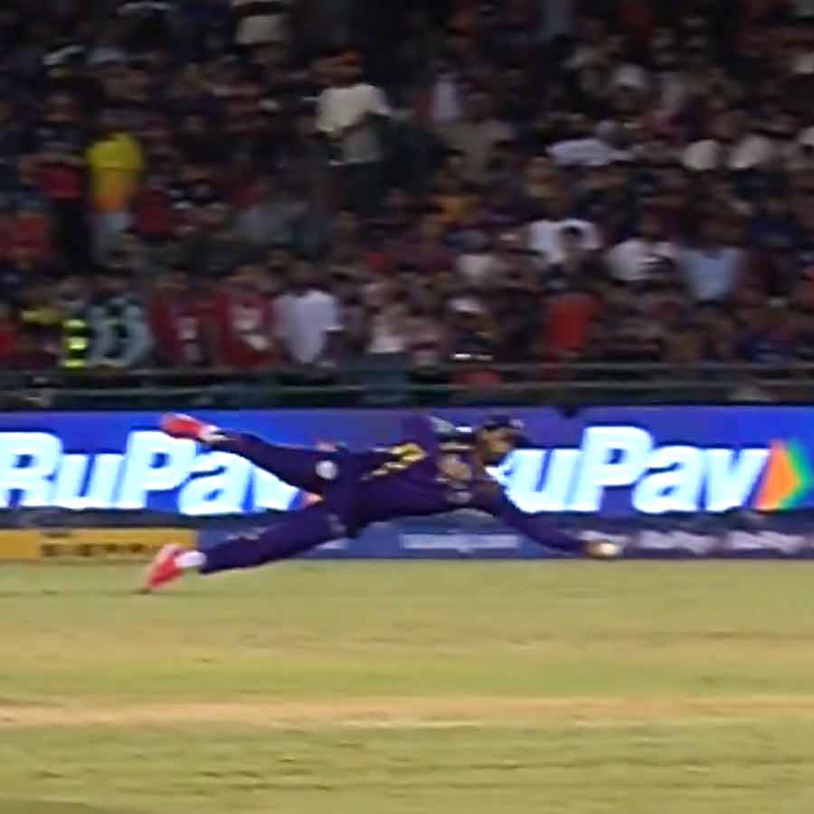 cricket