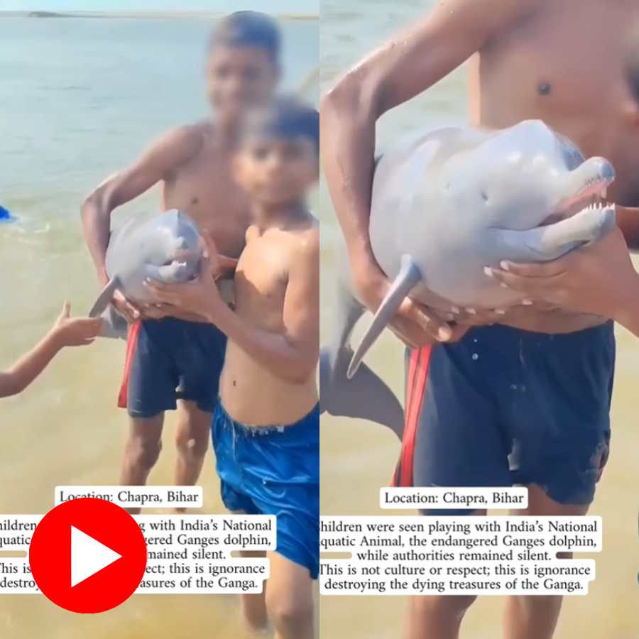 Video claims group of boys playing with a dolphin in Bihar’s Chhapra