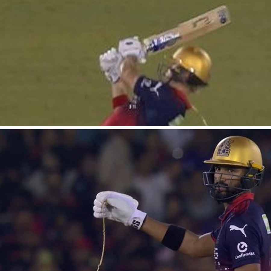 cricket