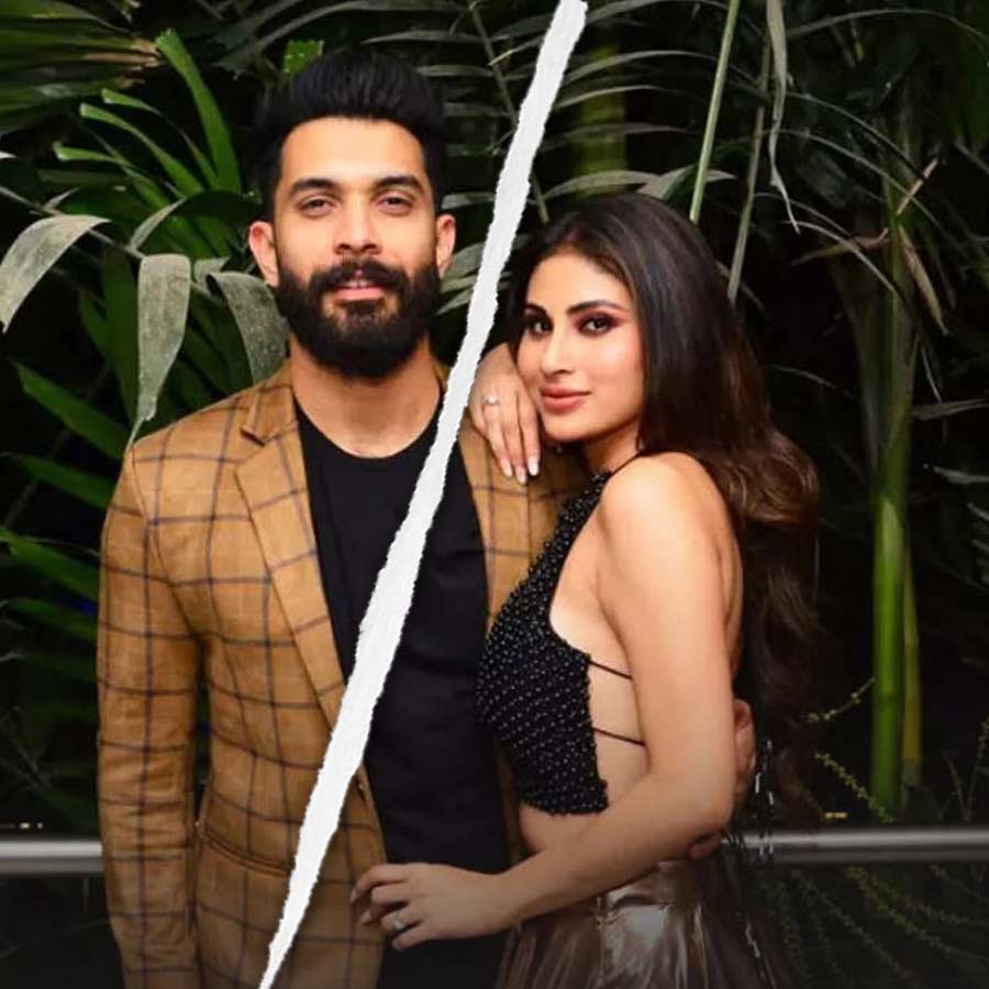 Mouni Roy and Suraj Nambiar announced separation jointly dgtl