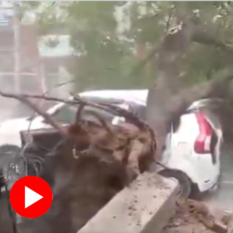 Video shows due to storm a big tree fall on car in Uttar Pradesh